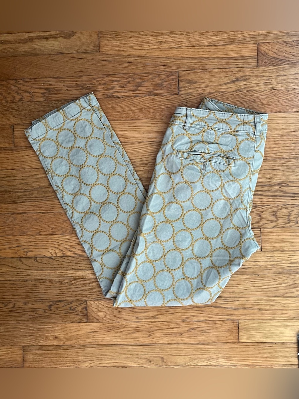 Anthropologie Chino Gray Pants (Size 27 Relaxed) with embroidered circles